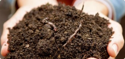 Topsoil & Sand