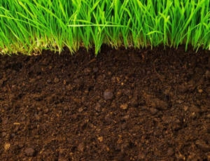 Topsoil, Compost, Sand, and Fill Dirt