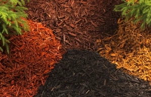 Bark Mulch, Hardwood, Cedar Playground, and Colored Mulch